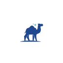 CAMEL INTERNATIONAL