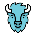 BISON