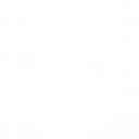 STMARKET logo